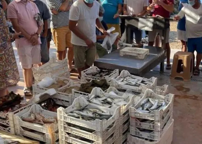 Casa Plumeria 公寓